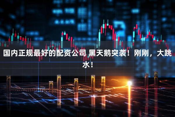 国内正规最好的配资公司 黑天鹅突袭！刚刚，大跳水！