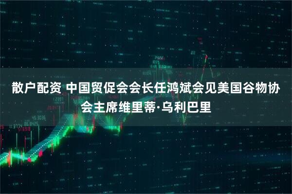 散户配资 中国贸促会会长任鸿斌会见美国谷物协会主席维里蒂·乌利巴里