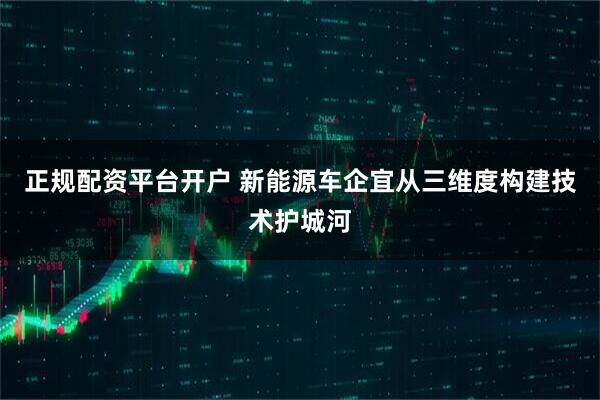 正规配资平台开户 新能源车企宜从三维度构建技术护城河