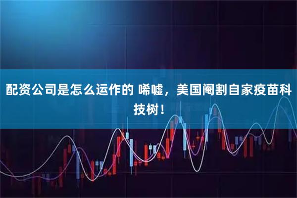 配资公司是怎么运作的 唏嘘，美国阉割自家疫苗科技树！