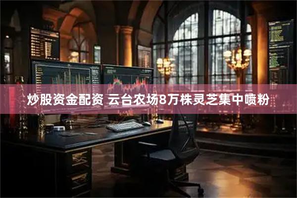 炒股资金配资 云台农场8万株灵芝集中喷粉